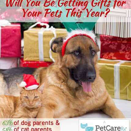 Will Your Pet Get a Gift This Year? 63% of Their Friends Will