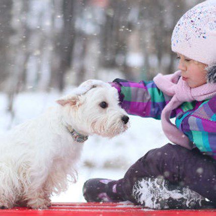 Image for Answer Your Cat's Question or Change a Pet's Life: January Pet Holidays to Celebrate