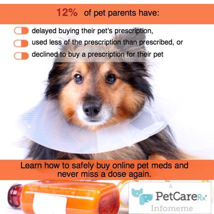 Ever Missed Your Pet's Dose of Medication? You're Not Alone