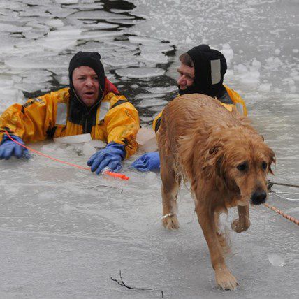 A Christmas Miracle: Dog Rescued From Icy Charles River 