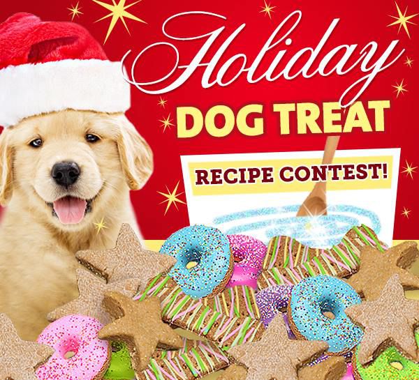 dog-treat-contest