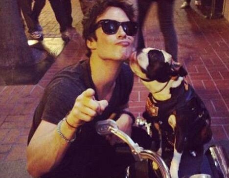ian-somerhalder-dog-blog