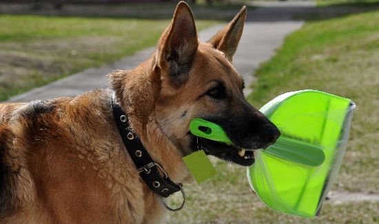 Dog-Cleaning-Supplies-Blog