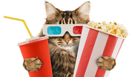 Pop-Culture-Pet-Name-Blog-2