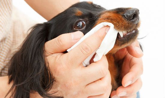 Tooth-Cleaning-Blog