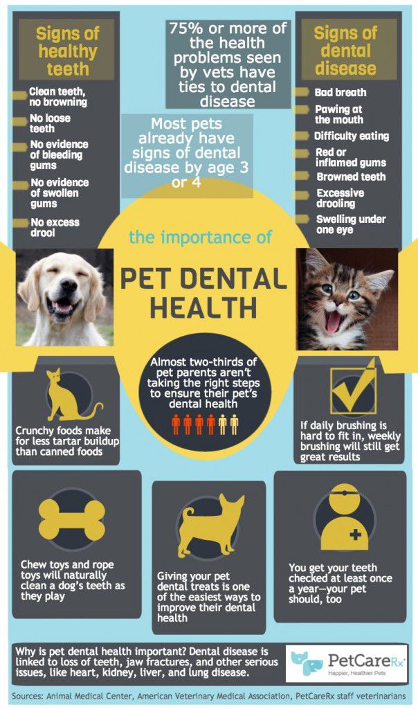Dental-Health-Month-Infographic