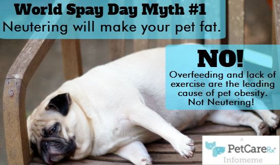 Neuter-Myth-1
