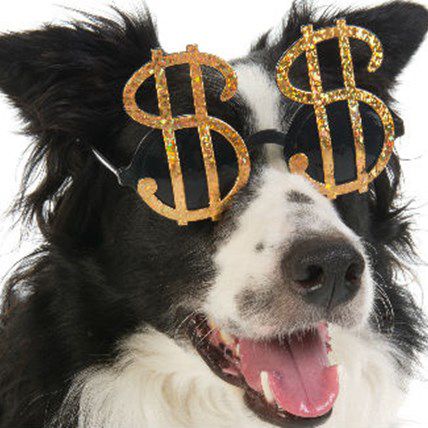 4 Ways Your Pet Could Save You Money at Tax Time PetCareRx