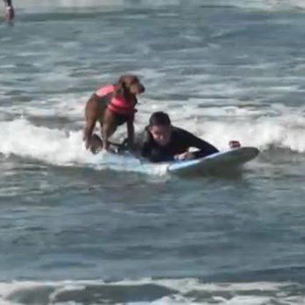 Florida Teen with Stage 5 Brain Cancer Has Make-a-Wish Dream Fulfilled With Ricochet the Surfing Dog