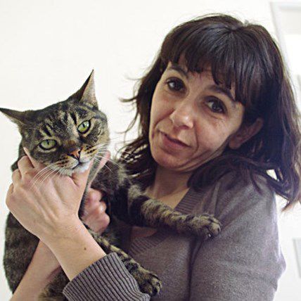Cat Saves 11 People from a House Fire, Gets Free Year of Biscuits from Thankful Residents