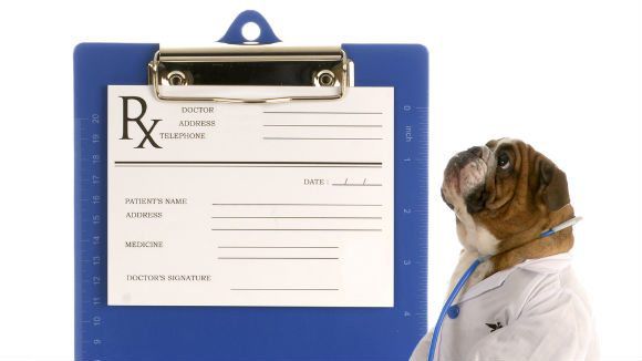 Pet Med Legislation: The Battle For Transparency | PetCareRx