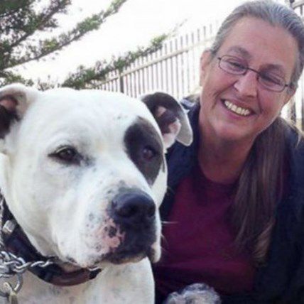 Family Decides to Live in Their Car Instead of Giving Up Pit Bull