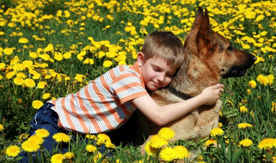 Autistic-Service-Dog-Blog