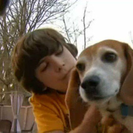 Runaway Beagle Found; Shelter Refuses to Return Dog to Family
