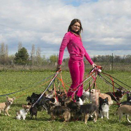 US Chooses Puppies Over Babies; Never Been a Better Time for Dogs
