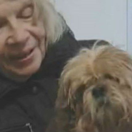 Blind and Deaf Dog Trapped in a Sinkhole, Rescued After 7 Hours