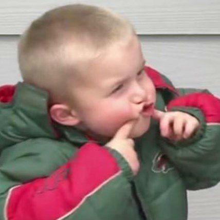 3-Year-Old Boy Lost During Thunderstorm, Kept Warm by Family Dog