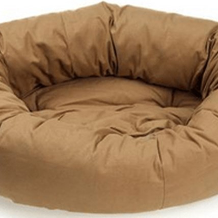 Image for 5 Ways To Make Your Senior Pet More Comfortable