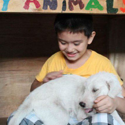 Image for 9-Year-Old Starts a No-Kill Shelter in His Garage