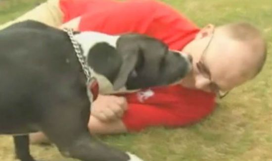 seizure-dog-2-blog
