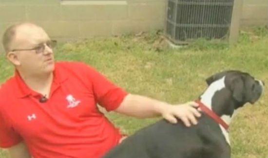 seizure-dog-blog