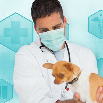 NEW: “A Game Changing Technology” That May Save Your Puppy's Life