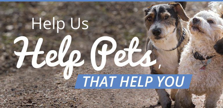 Giving Back: PetPlus Announces $10K Donation Initiative