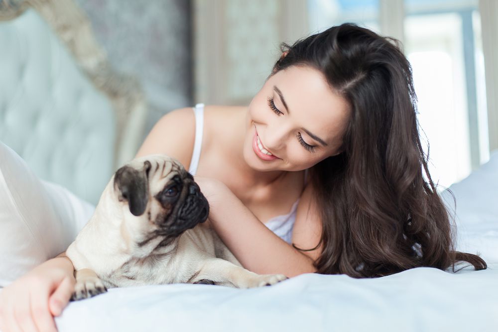 Should Your Pets Be Allowed to Sleep in Bed With You?
