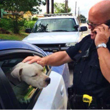 Officers Use Love to Subdue an Aggressive Dog