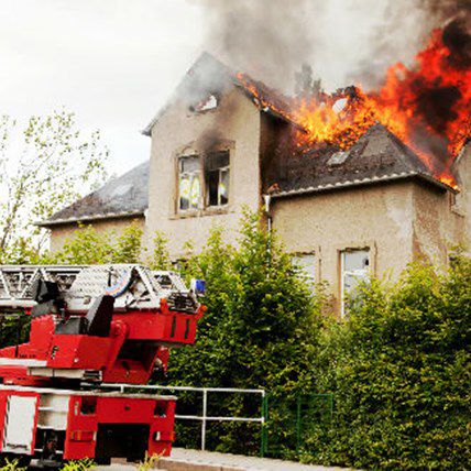 Hero Dog Rescues Deaf Boy from Burning House