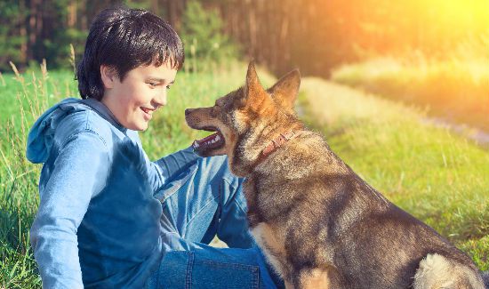 dog care tips