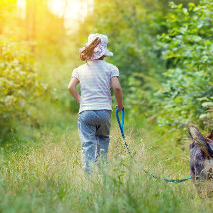 Dog Saves Lost Girl After 11 Days in Siberian Wild