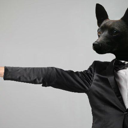 How Did Fido Become a Member of the Secret Service?