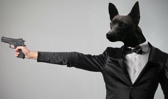 canine-agents-blog