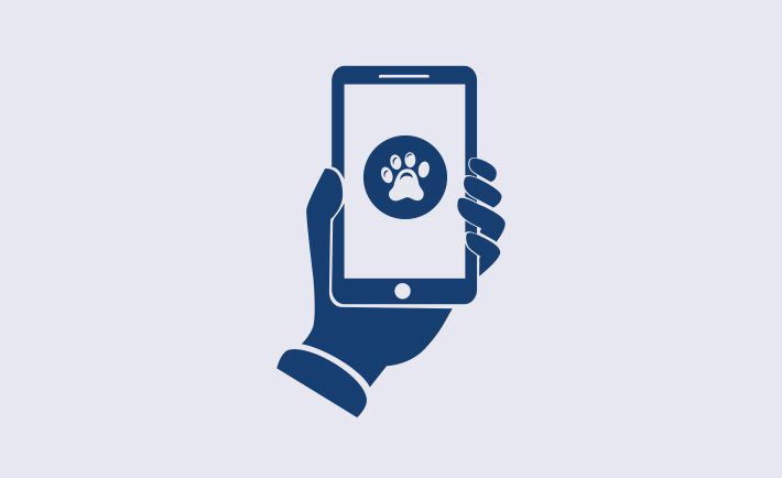 blog-apps