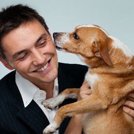Airports Enlist Calm Dog Breeds to De?-stress Passengers