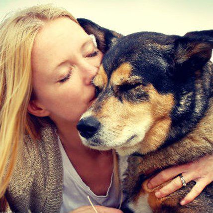 November is National Pet Cancer Awareness Month