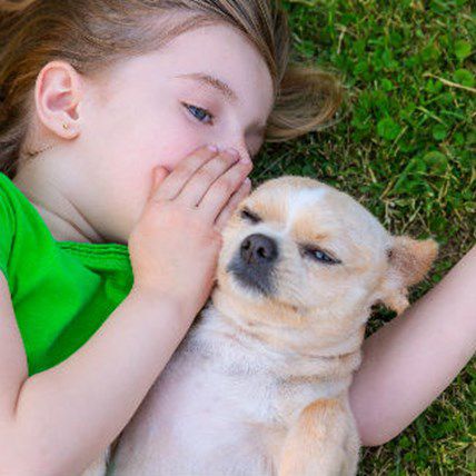 Learn New Ways to Speak Dog