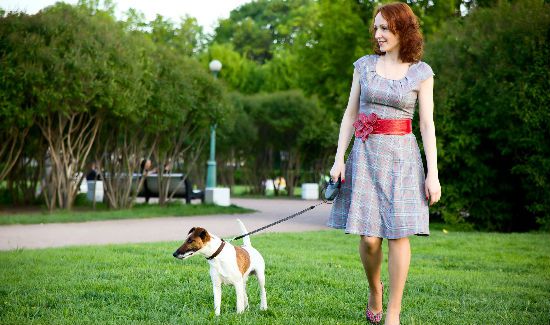 dog-walking-blog