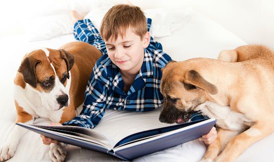 reading-therapy-dogs-blog