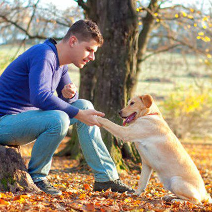Prisons Start Dog Training to Aid Veterans, Autistic Children