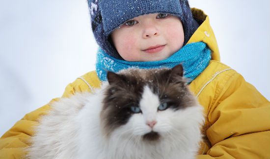 cat-boy-snow-blog