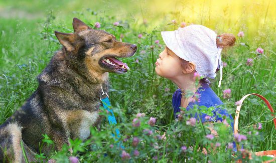 dog-body-language-blog
