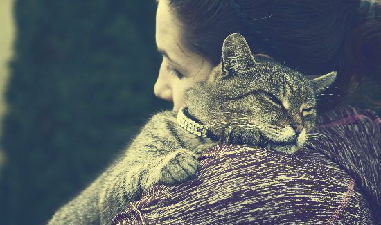 cat-music-blog-2