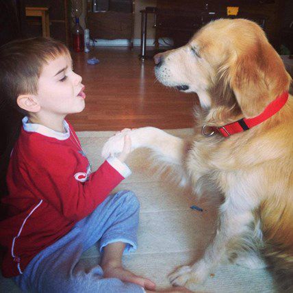Smiley Thrives as Blind Service Dog