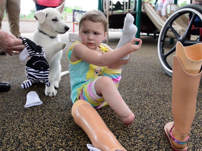 Double Amputee Toddler and Her Tripod Puppy - A Heartwarming Photo Album