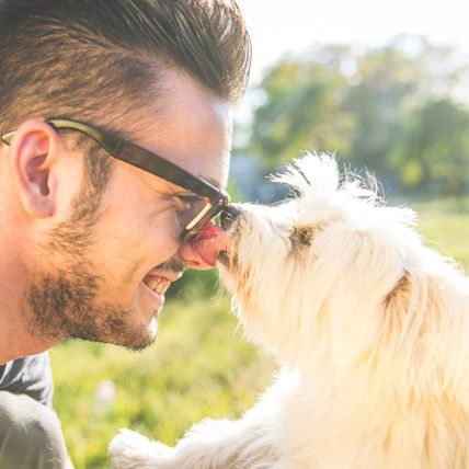 Do Dogs Love Us Back? New Study Might Surprise You