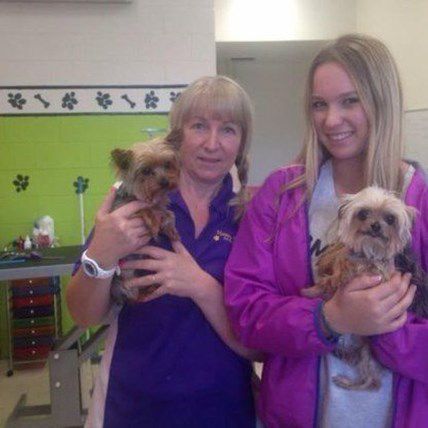 Johnny Depp Faces 10 Years in Prison for Dog Smuggling