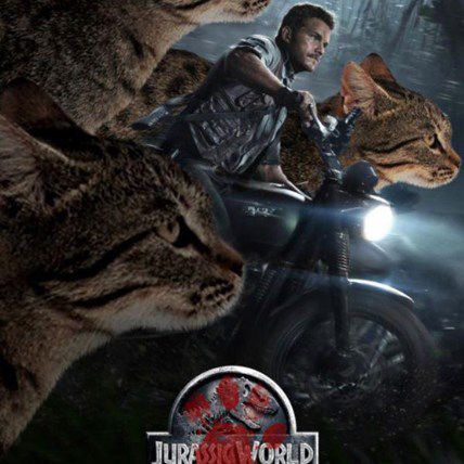 Someone Made Jurassic World with Cats (and It's Amazing!)