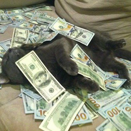 What Would You Do With $3,500,000?